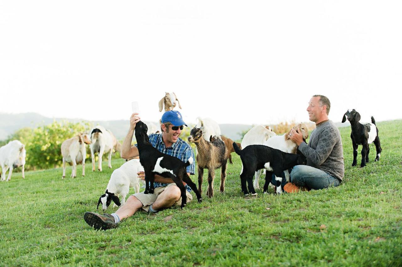 Reves De Moutons Hotel Paso Robles Bagian luar foto