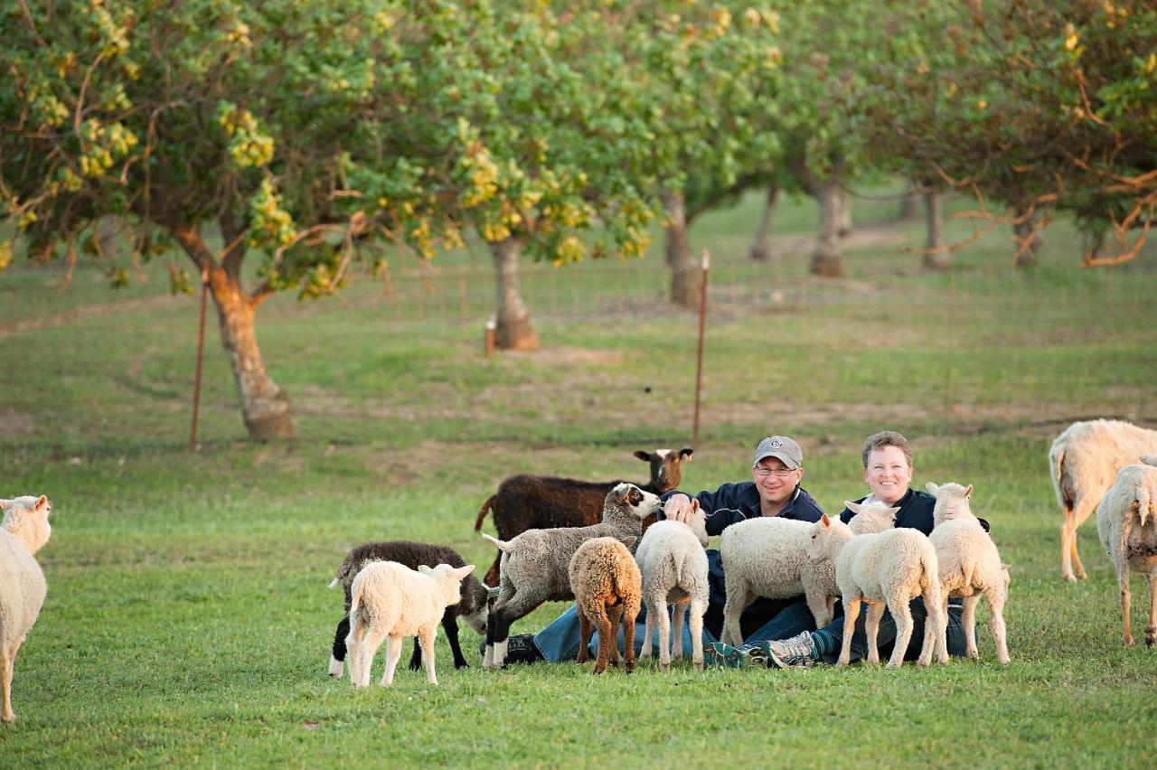 Reves De Moutons Hotel Paso Robles Bagian luar foto