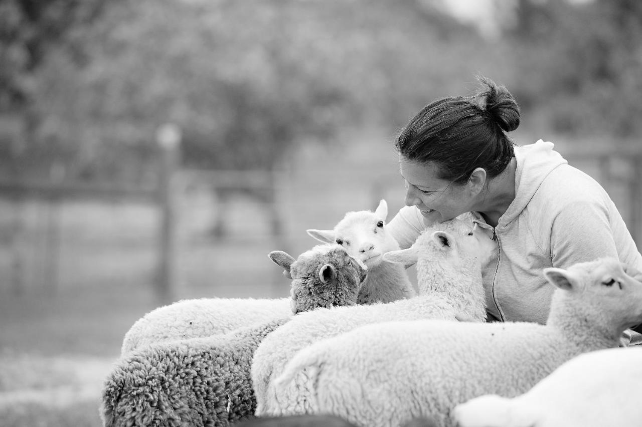 Reves De Moutons Hotel Paso Robles Bagian luar foto