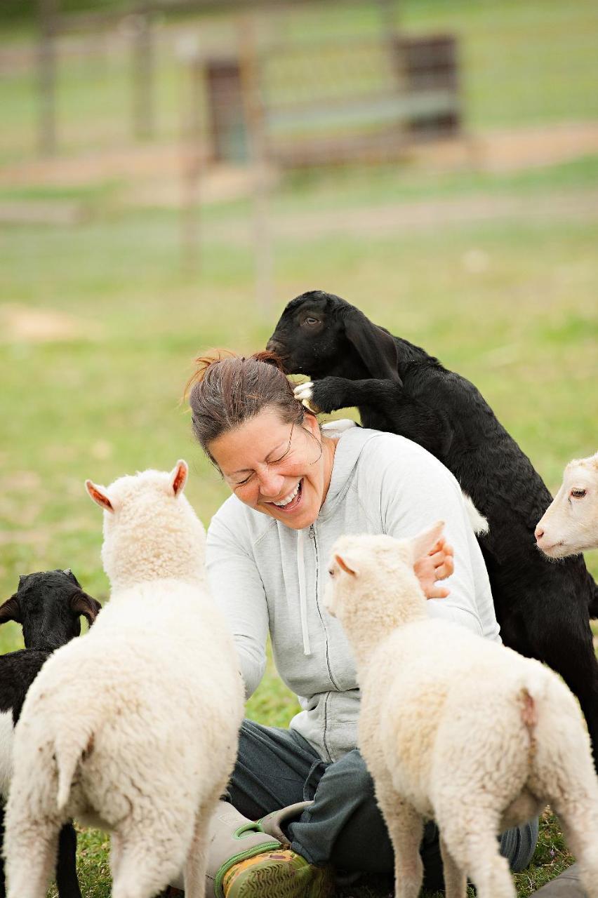 Reves De Moutons Hotel Paso Robles Bagian luar foto