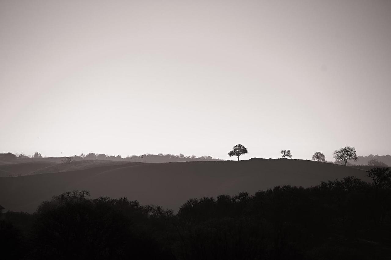 Reves De Moutons Hotel Paso Robles Bagian luar foto